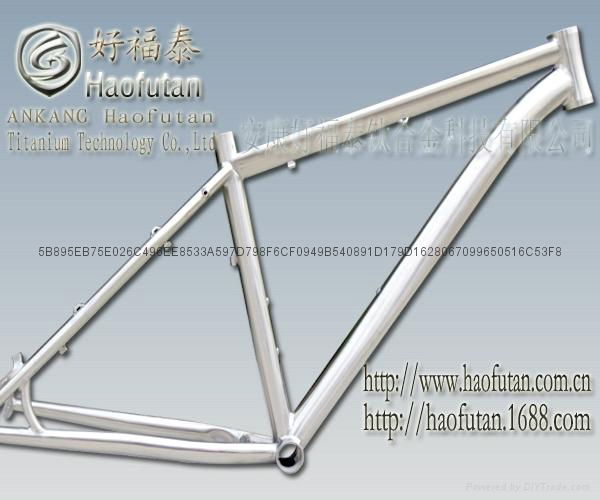 titanium bike frame