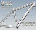 titanium bike frame 1