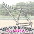 titanium bike frame