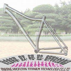 titanium bike frame