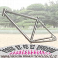 Titanium mtb bike frame