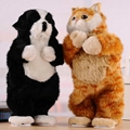 Dancing animal speaker with bluetooth function 1