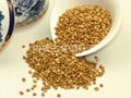 Roasted Buckwheat