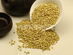 Buckwheat kernels