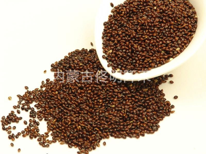 Broomcorn Millet 2