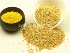 Yellow Millet