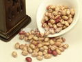 Light Speckled Kidney Beans 1