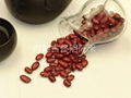 Red Kidney Beans