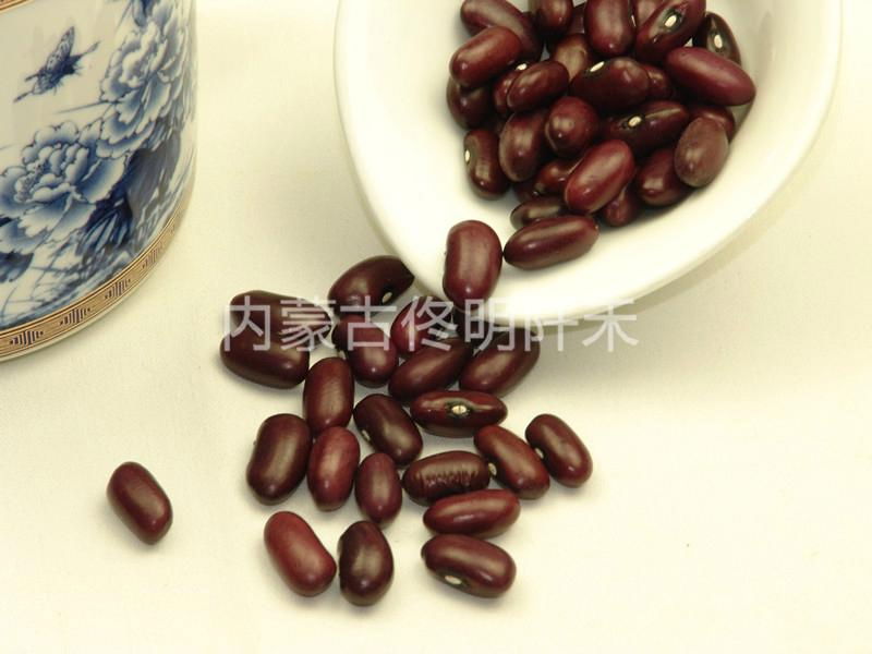 Purple Kidney Beans 2