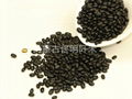 Black Beans 1