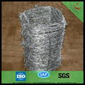 galvanized barbed wire hot sale manufacturer