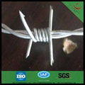 galvanized barbed wire hot sale manufacturer 4