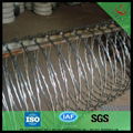 China hot dipped galvanized Razor Barbed Wire factory 2