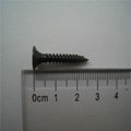 drywall screw manufacturer and price