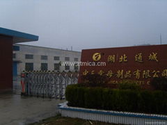 Tongcheng Zhongtian Mica Products Co., LTD