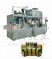 Granule Seasoning Carton Packaging Machinary (BW-2500) 1