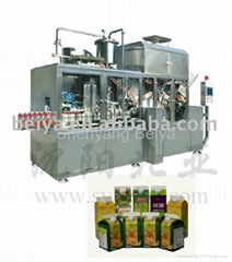 Granule Seasoning Carton Packaging Machinary (BW-2500)