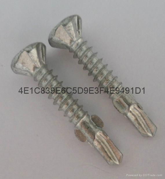 self drilling screw with wings 4