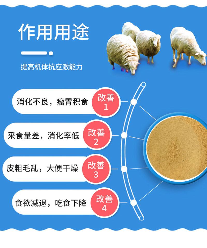 廠家直供啤酒酵母粉 啤酒酵母粉批發零售 3