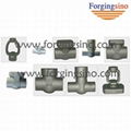 Forged Valve flange & pipe fittings 1