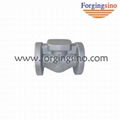 Forged Valve flange & pipe fittings 2