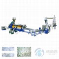 Water Ring Granulation Line 1