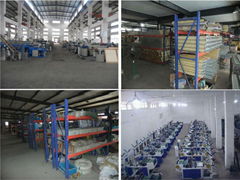 Ruian Binhai Plastic Packing Machinery Co.,LTD
