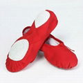 Ballet dance slipper dance shoes(S5021)