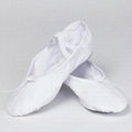 Ballet dance slipper dance shoes(S5021)