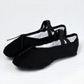 Ballet dance slipper dance shoes(S5021)