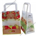 Tri-fold handle plastic bag 2