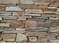 Cement Cultured Stone