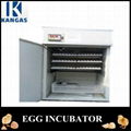 528 Eggs Digital Automatic Chicken Egg