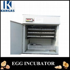 528 Eggs Digital Automatic Chicken Egg Incubator