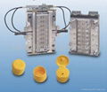 flip top cap mould 