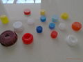 flip top cap mould  2