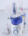 Family Use Oral Irrigator with 10