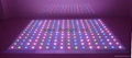 RGB LED full color changed portable star lite twinkling dance floor 5