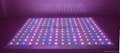 RGB LED full color changed portable star lite twinkling dance floor