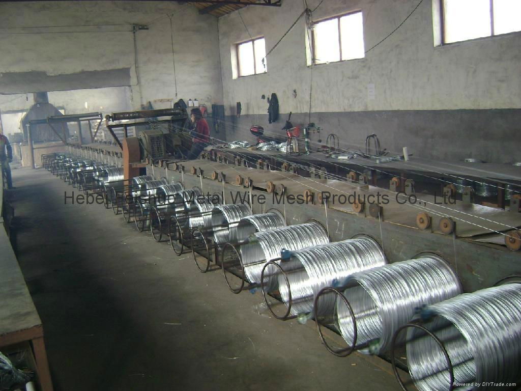 galvanized iron wire 4