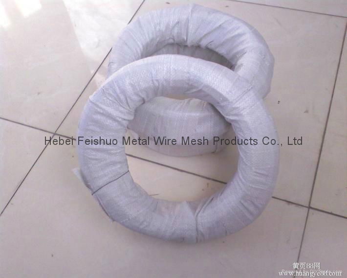 soft annealed iron wire 2