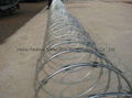 concertina wire 2