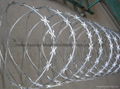 concertina wire 4