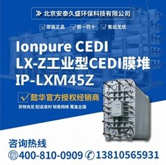 Ionpure CEDI 工業型(連續電去離子)膜堆