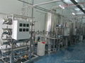 江苏日化生产纯化水处理设备 4