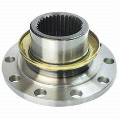 Companion Flange 