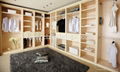 Integrated wardrobe/closet(Rococo)