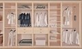 Integrated wardrobe/closet(Rococo) 2