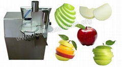 Fruit Slicing Machine