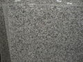 G623-Granite-slab